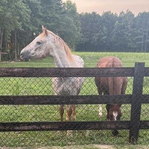 Meet your Posher, Roxanne